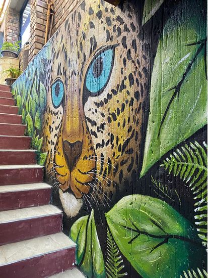 Leopard Staircase Mural